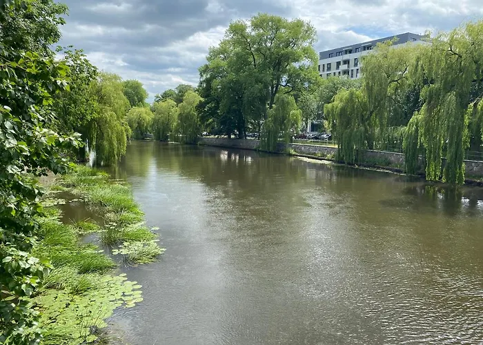 Chilliapartamenty - Platany - Powder Apartment